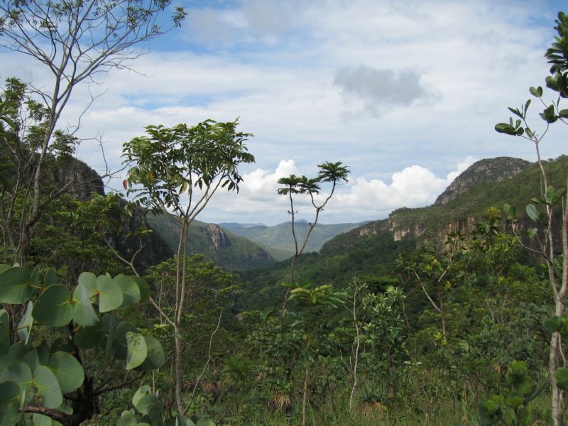 2008-01-09 Chapada (47)